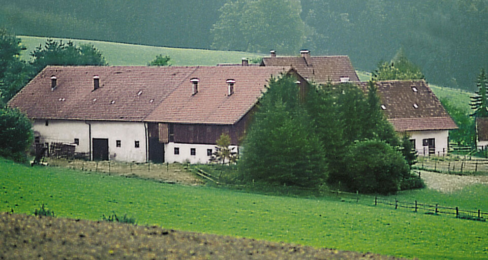 A farmhouse with brown roofs and white walls surrounded by trees and hilly fields