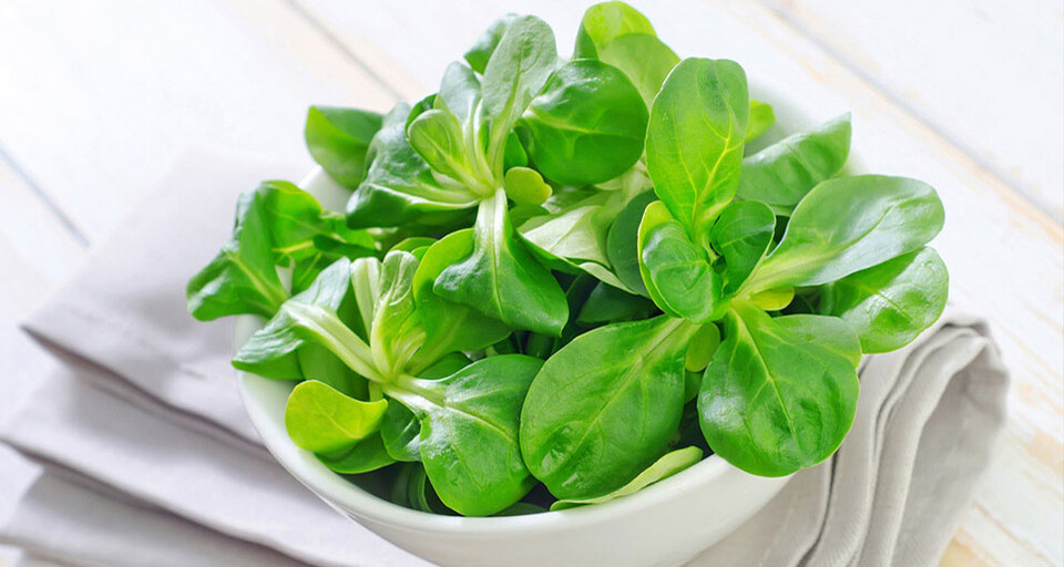 A bowl of basil which is rich in vitamin b6.