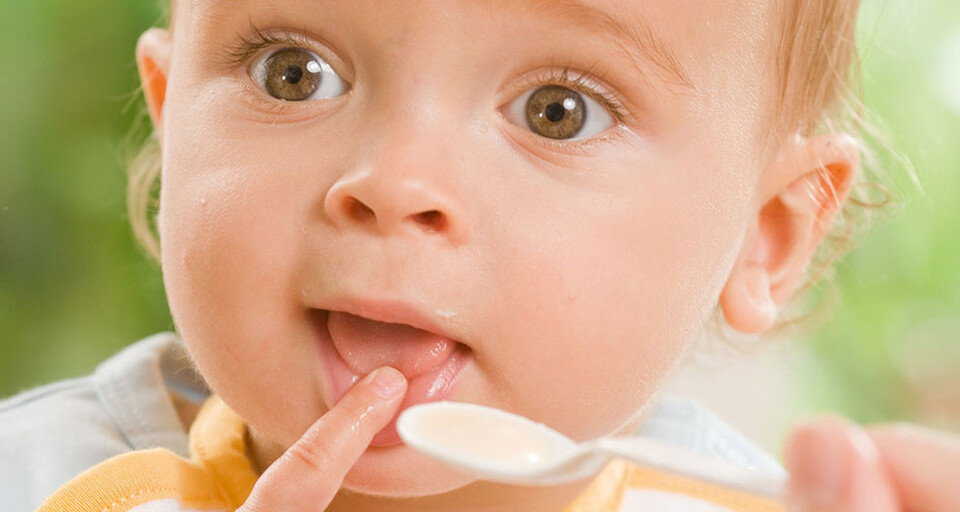 A baby touching its mouth with its finger is about to be fed with a spoon of baby food
