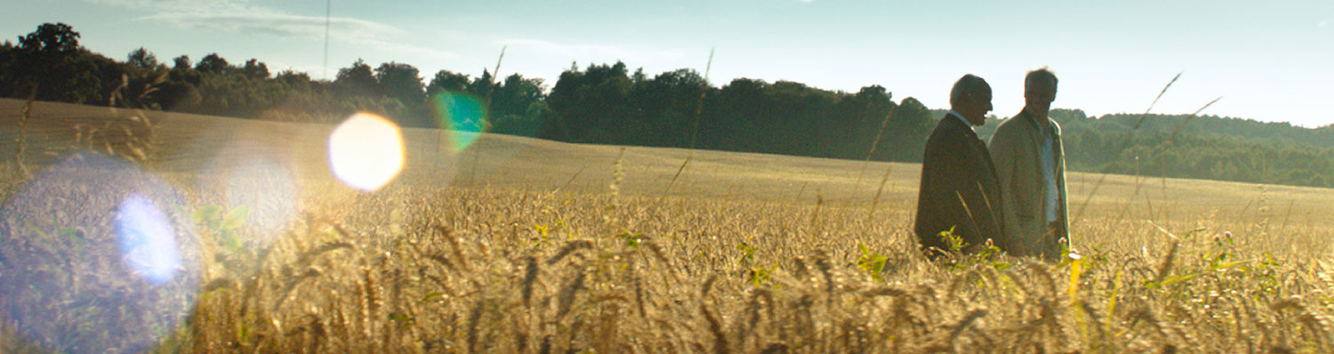 HIPP owners, Claus and Stefan Hipp, in the middle of a grain field.